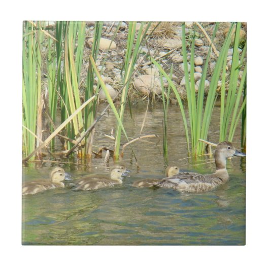 Ente und Entlein der Mutter-B34 Fliese (Vorderseite)