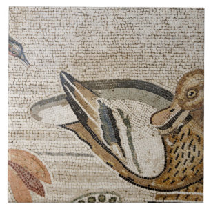 Ente und Vogel, Nil-Mosaik, Haus des Faun Fliese