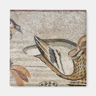 Ente und Vogel, Nil-Mosaik, Haus des Faun Magnet