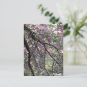 Ente unter Kirschblüten Postkarte (Stehend Vorderseite)