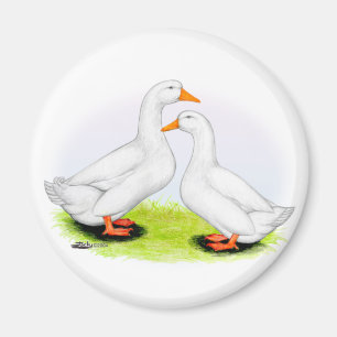 Ente:  White Pekins Magnet