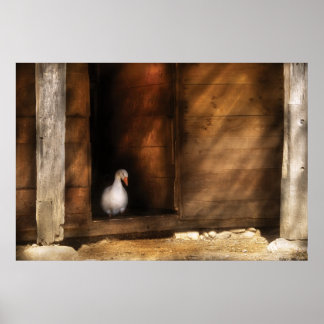 Ente - Willkommen auf meiner Zuhause Poster