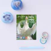 Ente wunderschönes phantastisches Anwesen Agent Ma Flyer (Einzeln)