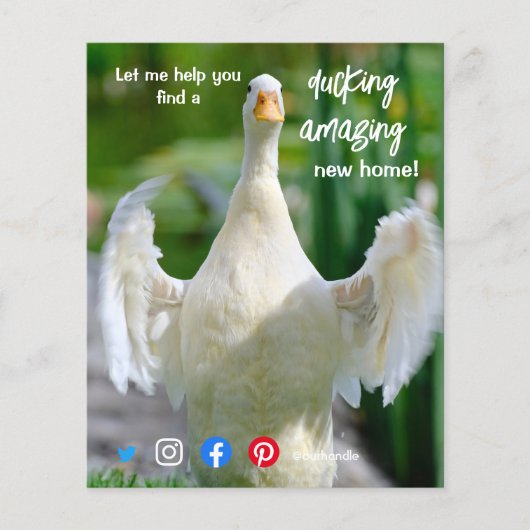 Ente wunderschönes phantastisches Anwesen Agent Ma Flyer (Vorne)