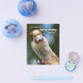 Ente wunderschönes phantastisches Anwesen Agent Ma Flyer (Einzeln)