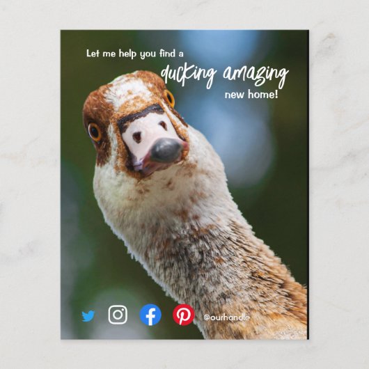 Ente wunderschönes phantastisches Anwesen Agent Ma Flyer (Vorne)