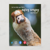 Ente wunderschönes phantastisches Anwesen Agent Ma Postkarte (Vorderseite)