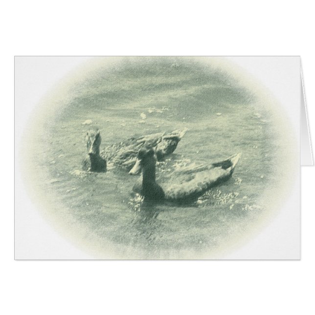 Enten (Vorderseite (Horizontal))