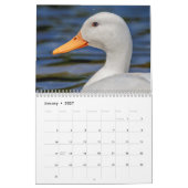 Enten 2026 kalender (Jan 2027)