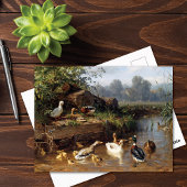 Enten am Fluss Carl Jutz Postkarte