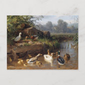 Enten am Fluss Carl Jutz Postkarte (Vorderseite)