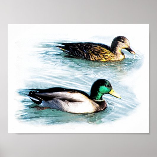 Enten am See Poster (Vorne)