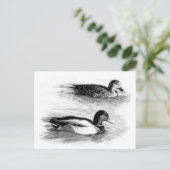 Enten am See Postkarte (Stehend Vorderseite)