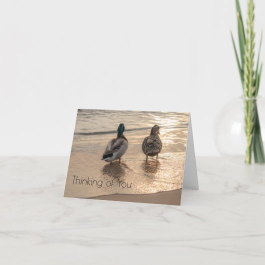 Enten am Strand Denken Sie an Sie notecard (Vorderseite)