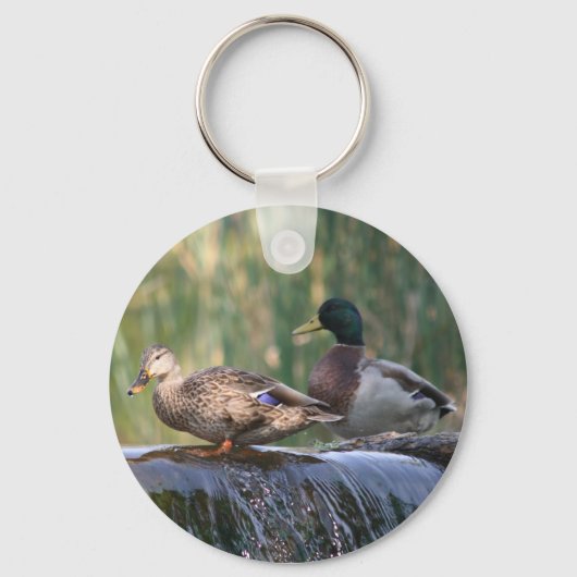 Enten am Wasserfall Schlüsselanhänger (Vorderseite)