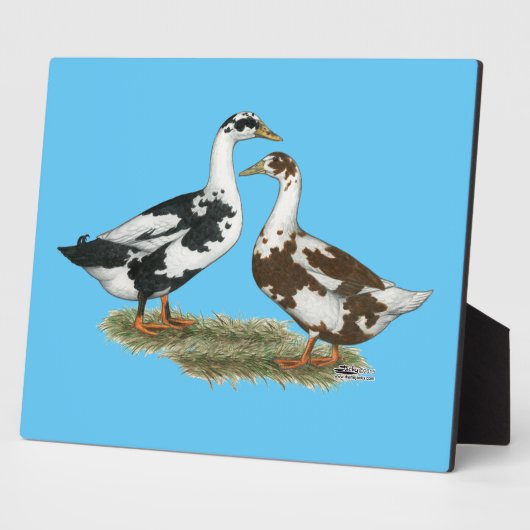 Enten Ancona Pair Fotoplatte (Seite)