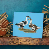 Enten Ancona Pair Fotoplatte (Seite)