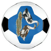 Enten Ancona Pair Fußball (Gedreht)