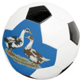 Enten Ancona Pair Fußball (Dreiviertel)