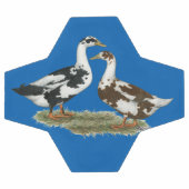 Enten Ancona Pair Fußball (Flach)