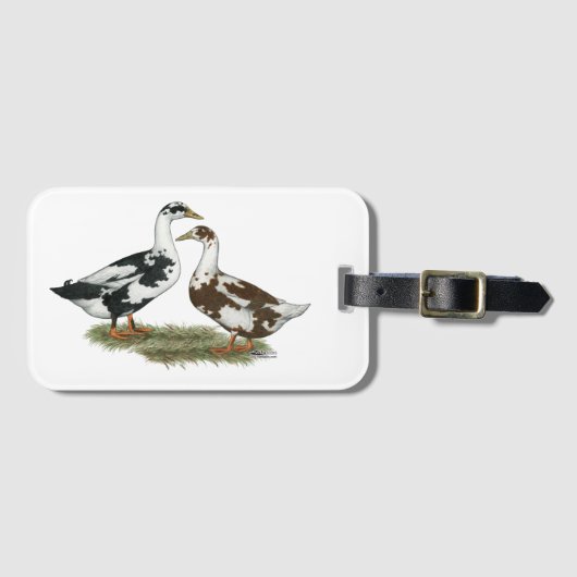 Enten Ancona Pair Gepäckanhänger (Vorderseite (Horizontal))
