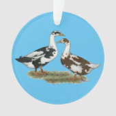 Enten Ancona passen zusammen Ornament (Vorderseite)