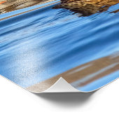 Enten auf blauem Wasser Fotodruck (Ecke)