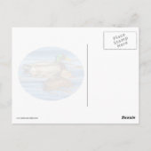 Enten auf blauem Wasser Postkarte (Rückseite)