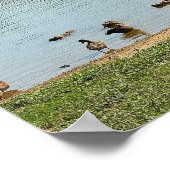 Enten auf dem Creek Poster (Ecke)