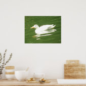 Enten auf dem Wasser Print Poster (Küche)