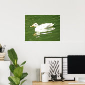 Enten auf dem Wasser Print Poster (Heimbüro)