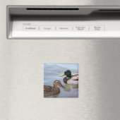 Enten auf einem Pond Magnet (In Situ (Geschirrspüler))