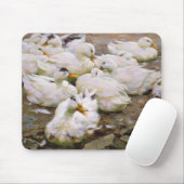 Enten auf einem Teich Mousepad (Mit Mouse)