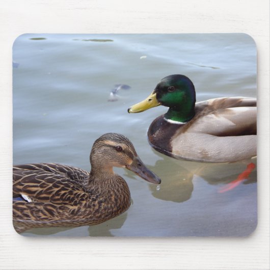 Enten auf einem Teich Mousepad (Vorne)