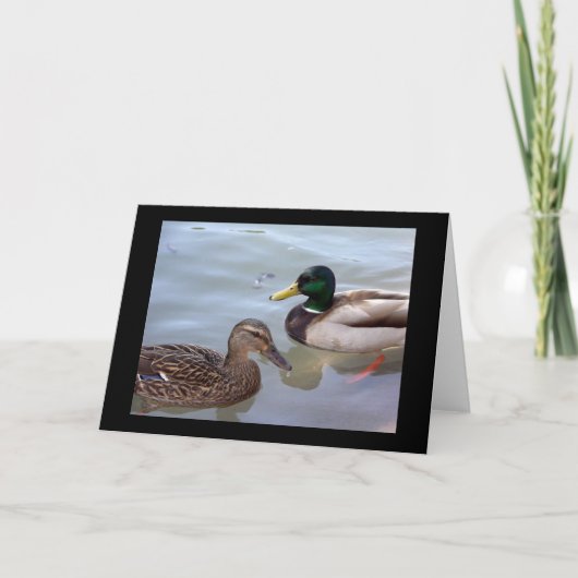 Enten auf einer Teich-Karte Karte (Vorderseite)