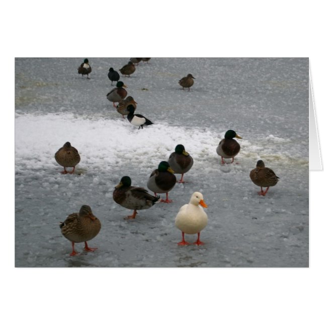 Enten auf Eis (Vorderseite (Horizontal))
