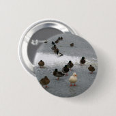 Enten auf Eis Button (Vorne & Hinten)