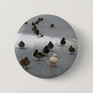 Enten auf Eis Button