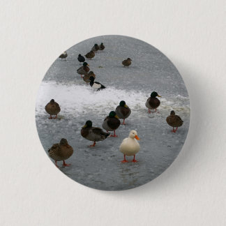 Enten auf Eis Button