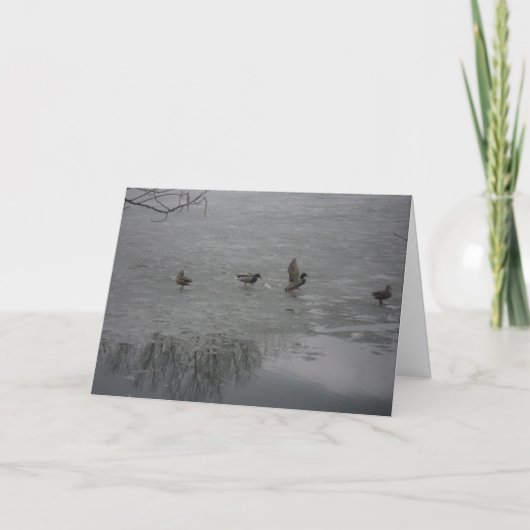 "Enten auf Eis" Danke Karte (Vorderseite)