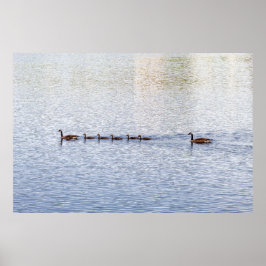 Enten auf Glen Lake Poster