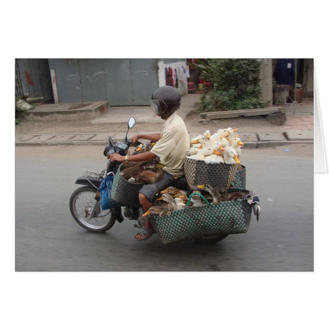 Enten auf MotorradVietnam (Vorderseite (Horizontal))