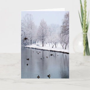 Enten auf The Creek Karte