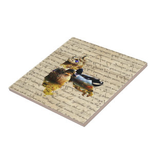 Enten auf Vintagem Papier Fliese