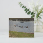 Enten auf Wasser Einladung Postkarte (Stehend Vorderseite)