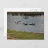 Enten auf Wasser Einladung Postkarte (Vorne/Hinten)
