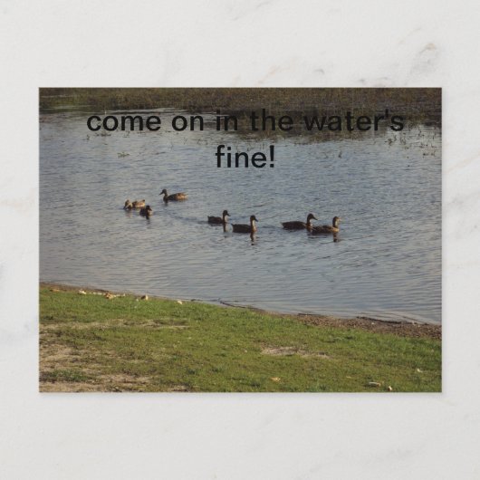 Enten auf Wasser Einladung Postkarte (Vorderseite)