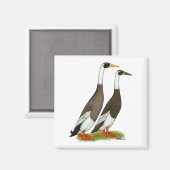 Enten: aufgeblasene Läufer Magnet (Vorderseite/Rückseite)