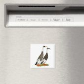 Enten: aufgeblasene Läufer Magnet (In Situ (Geschirrspüler))
