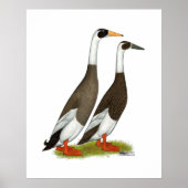 Enten: aufgeblasene Läufer Poster (Vorne)